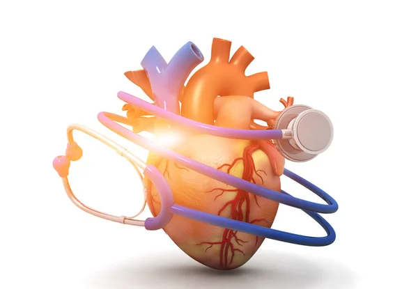 Menschliches Herz Mit Stethoskop Auf Weißem Hintergrund Herzpflege Und Schutzkonzept — Stockfoto