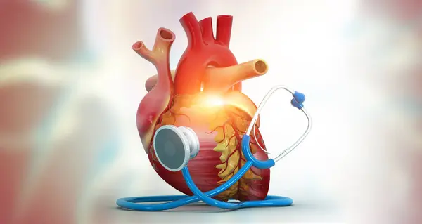 Human Heart With Stethoscope on a white background. Heart care and protection concept. 3d illustration