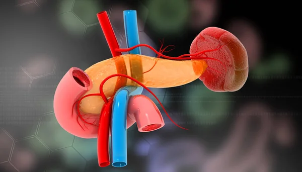 Pancreas Medical Background Illustration — Stock Photo, Image