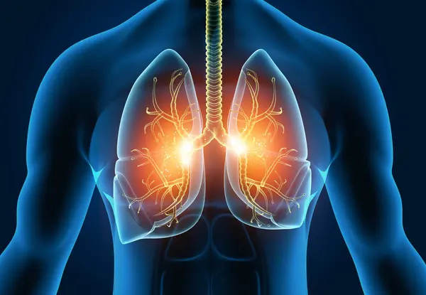 Bilim Geçmişinde Insan Akciğerleri Anatomisi Illüstrasyon — Stok fotoğraf
