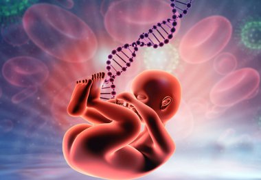 Tıbbi geçmişinde DNA 'sı olan fetüs. 3d illüstrasyon
