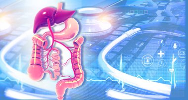 Tıbbi arka planda insan sindirim sistemi var. 3d illüstrasyon