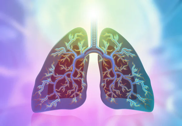 Anatomi Mänskliga Lungs Medical Bakgrund Illustration — Stockfoto