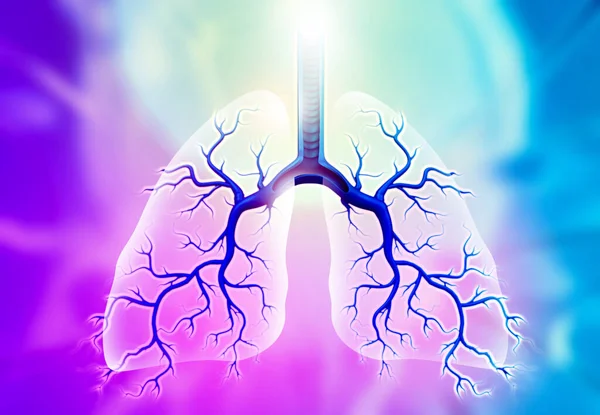 Nsan Ciğerlerinin Anatomisi Tıbbi Geçmiş Illüstrasyon — Stok fotoğraf