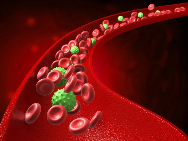 Glóbulos Rojos Virus Bacterias Las Venas Antecedentes Médicos Ilustración —  Fotos de Stock