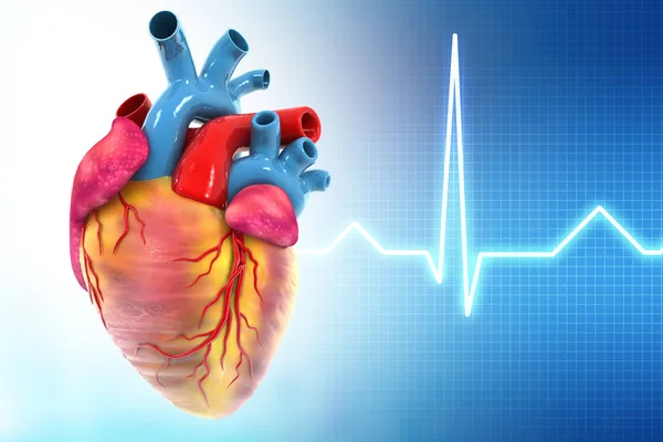 Coração Humano Com Antecedentes Médicos Ilustração — Fotografia de Stock