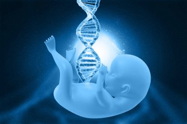 DNA 'lı fetüs anatomisi. Bilim geçmişi. 3d illüstrasyon