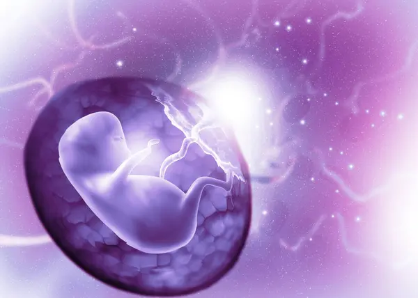 关于抽象科学背景的胎儿 3D说明 — 图库照片