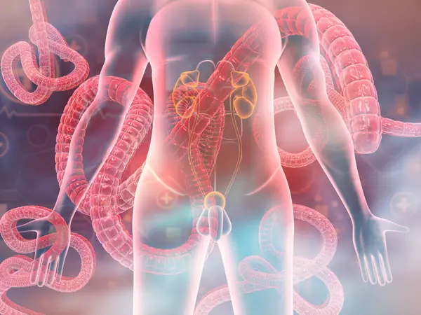 Virus Dell Ebola Che Attacca Corpo Umano Illustrazione — Foto Stock