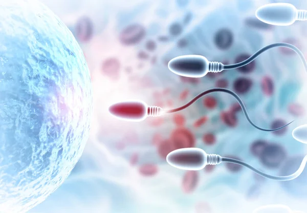 卵子は精子 受精を選択する 3Dイラスト — ストック写真