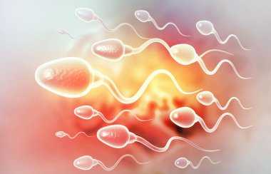 Sperm hücreleri hareket ediyor. 3d illüstrasyon