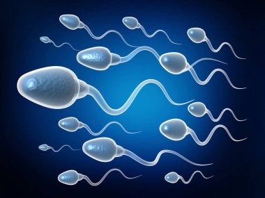 Sperm hücreleri hareket ediyor. 3d illüstrasyon