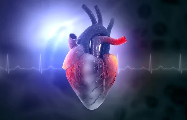 Anatomie Lidského Srdce Lékařském Zázemí Ilustrace — Stock fotografie
