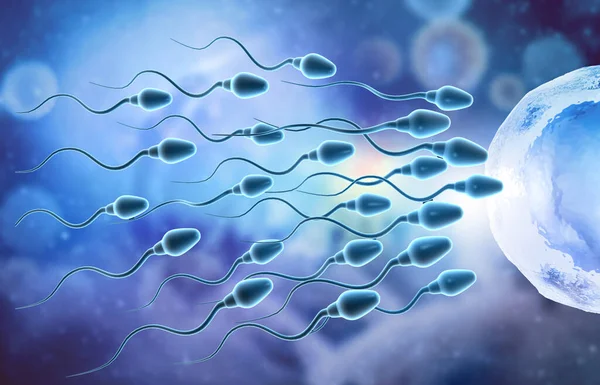 Gli Ovuli Scelgono Sperma Fecondazione Illustrazione — Foto Stock
