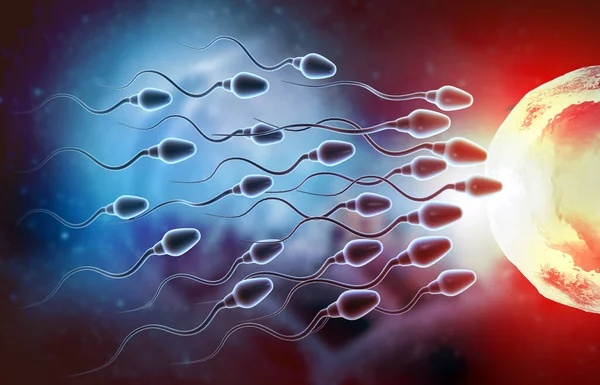 Los Huevos Eligen Esperma Fertilización Ilustración — Foto de Stock