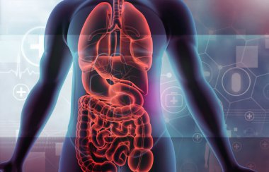 İnsan vücudunun anatomisi. Bilim ve tıbbi geçmiş. 3d illüstrasyon