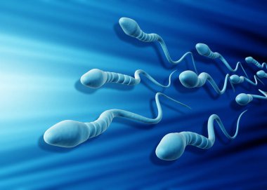 İnsan sperm hücreleri. 3d illüstrasyon
