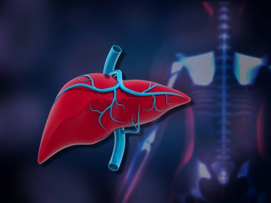 Sağlık geçmişinde insan karaciğeri anatomisi. 3d illüstrasyon