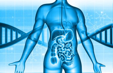 DNA 'da insan vücudu anatomisi. 3d illüstrasyon