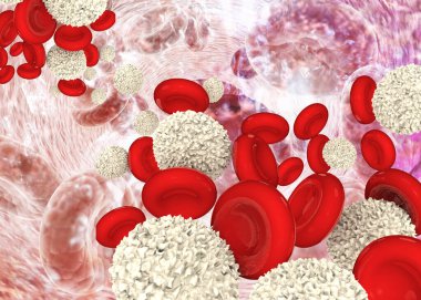 Kırmızı ve beyaz kan hücreleri. 3d illüstrasyon