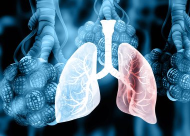 Soyut arka planda insan akciğerleri anatomisi. 3d illüstrasyon