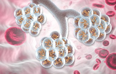 İnsan alveolünün yapısı. 3d illüstrasyon