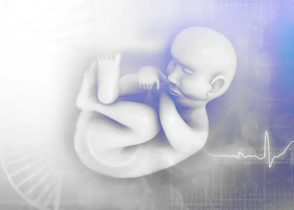Fetus Medical Background Illustration — Stock Photo, Image
