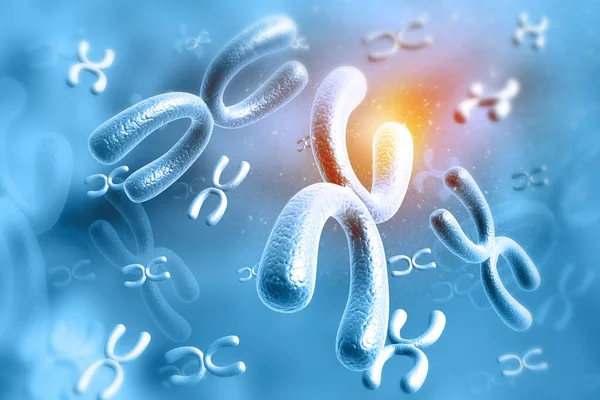 Nsan Kromozomları Genetik Konsept Illüstrasyon — Stok fotoğraf