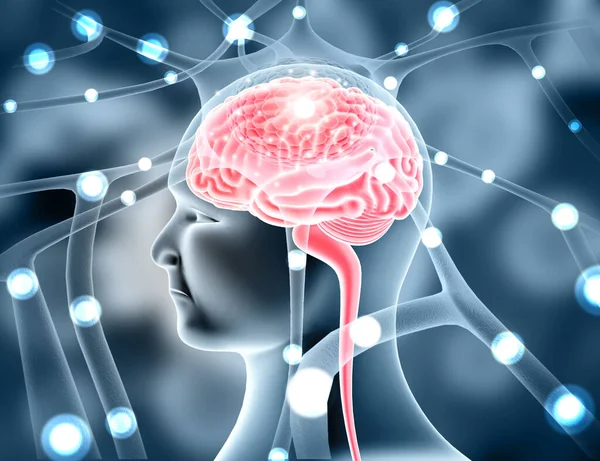 Human brain electrical impulses. 3d illustration