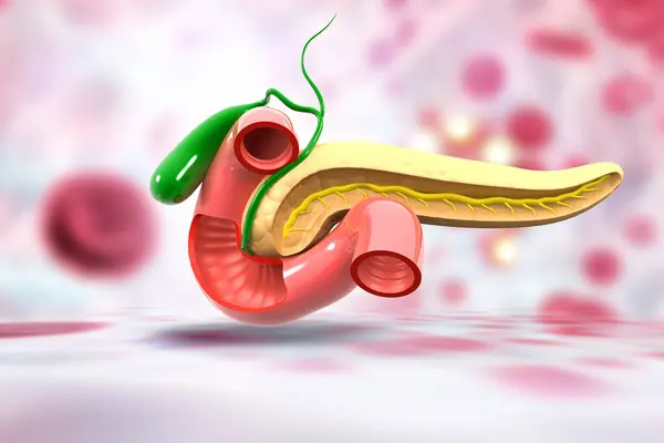 Human Pancreas Anatomy Medical Background Illustration — Stock Photo, Image
