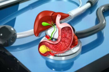 Tıbbi arka planda insan sindirim sistemi anatomisi. 3d illüstrasyon