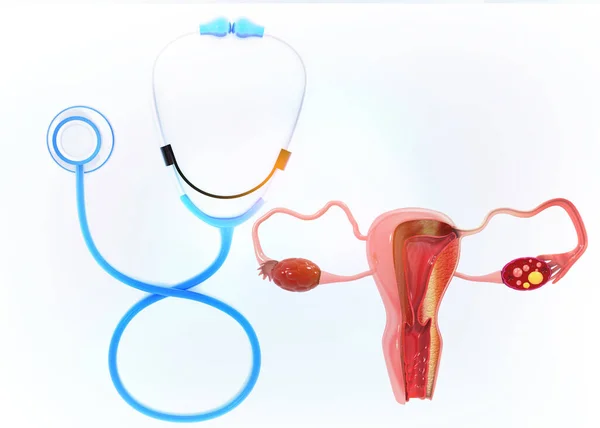 Weibliches Fortpflanzungsorgan Mit Stethoskop Auf Weißem Hintergrund Illustration — Stockfoto