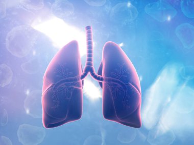 Bilimsel altyapıda insan akciğerleri anatomisi. 3d illüstrasyon
