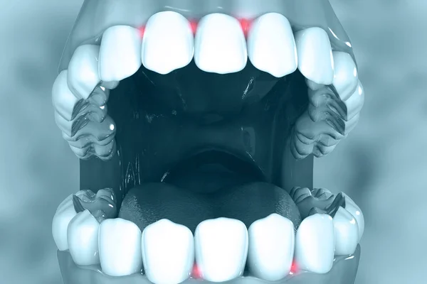 Анатомія Зубів Людини Ілюстрація — стокове фото