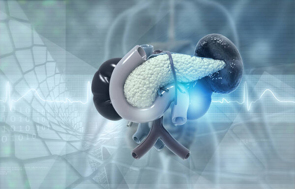 Анатомия поджелудочной железы человека на медицинском фоне.