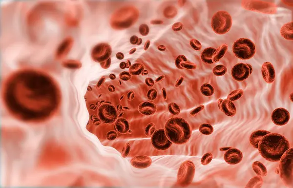 Human red blood cells stream in vein. 3d illustration