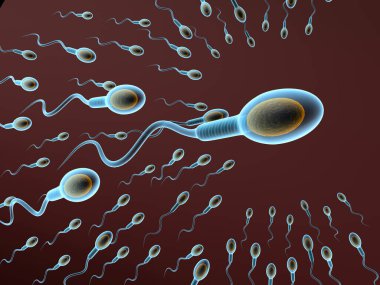 İnsan sperm hücrelerinin mikroskobik görüntüsü. 3d illüstrasyon