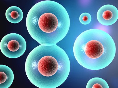 İnsan hücresinin mikroskobik görüntüsü. 3d illüstrasyon