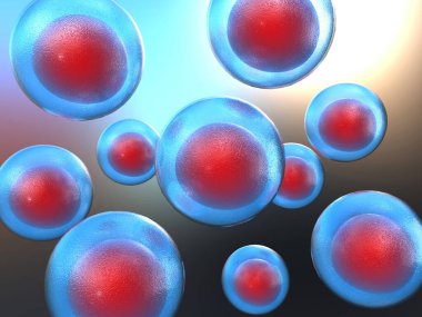 İnsan hücresinin mikroskobik görüntüsü. 3d illüstrasyon