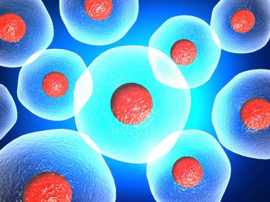İnsan hücresinin mikroskobik görüntüsü. 3d illüstrasyon