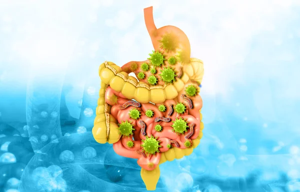 Bactérias Vírus Sistema Digestivo Ilustração — Fotografia de Stock