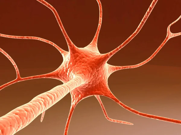 Neuron Cell Isolated Background Illustration — Stock Photo, Image