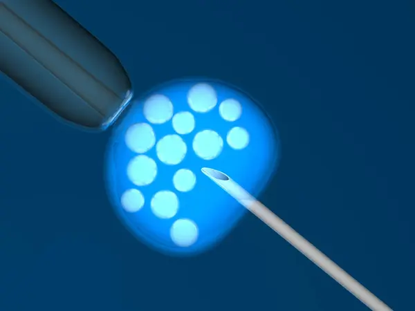 卵子細胞の体外受精 3Dイラスト — ストック写真