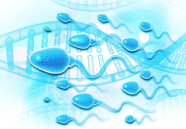 Mikroskopisk Syn Mänskliga Spermier Illustration — Stockfoto