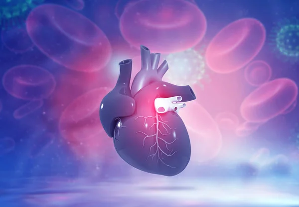 Human heart anatomy medical background. 3d illustration