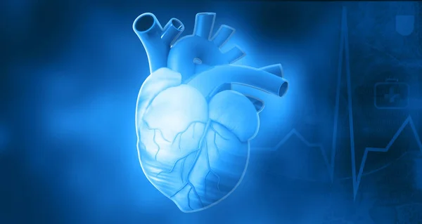 Anatomie Des Menschlichen Herzens Auf Blauem Hintergrund Illustration — Stockfoto