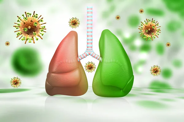 Human Respiratory System Lungs Anatomy Virus Background Illustration — Stock Photo, Image