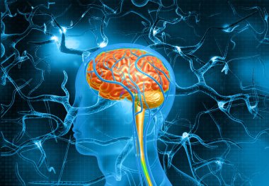 Human brain and neurons abstract background. 3d illustration	
