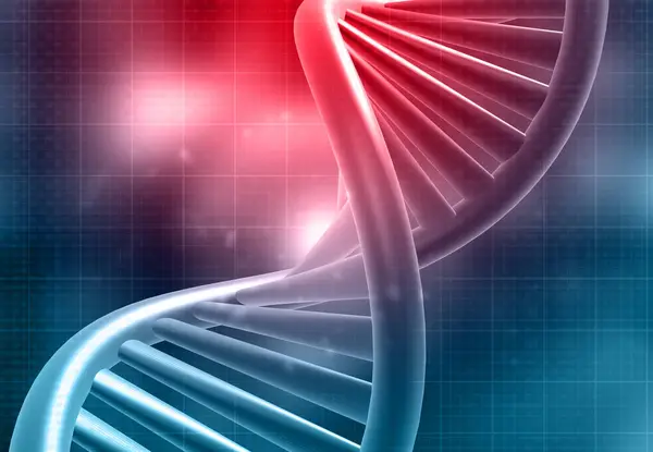 DNA structure scientific background. 3d illustration