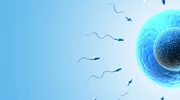 Egg Sperm Blue Background Illustration — Foto de Stock